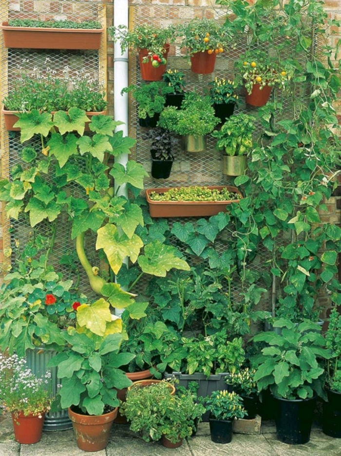Vertical garden