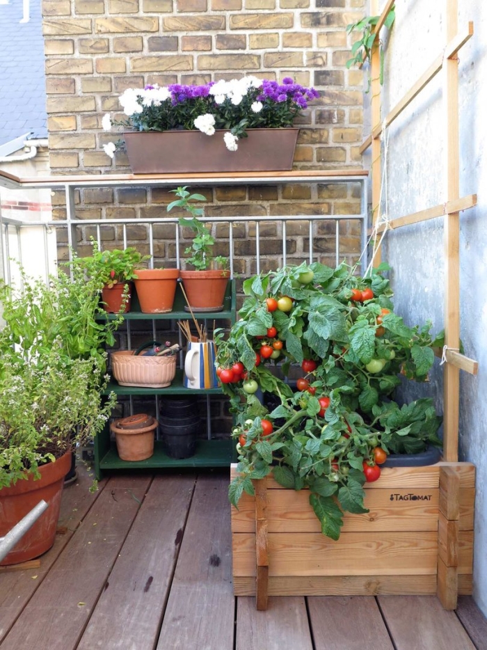 Сад на балконе