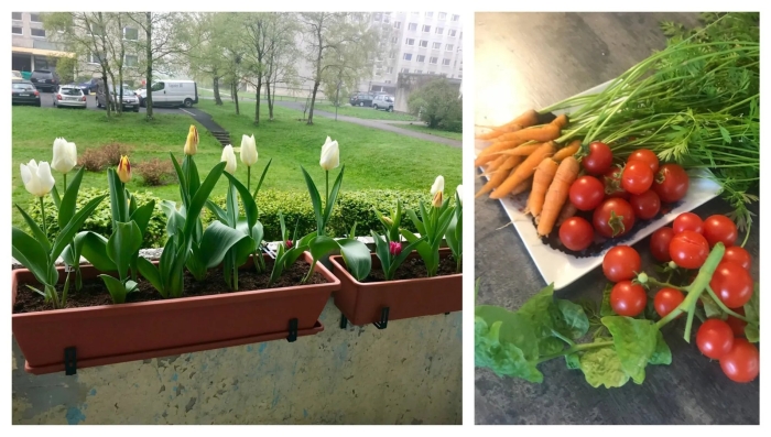 Навесные грядки