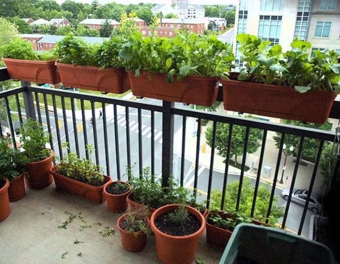 Balcony garden ideas