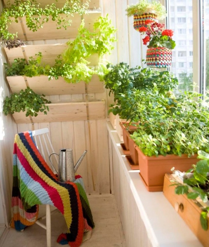 Растения на балконе
