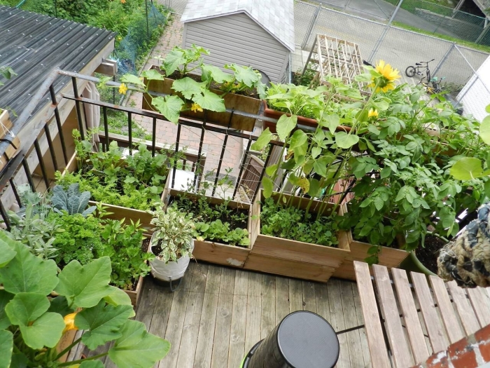 Мини огородик на балконе