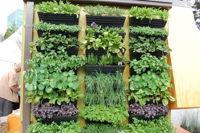 Вертикальная грядка для зелени