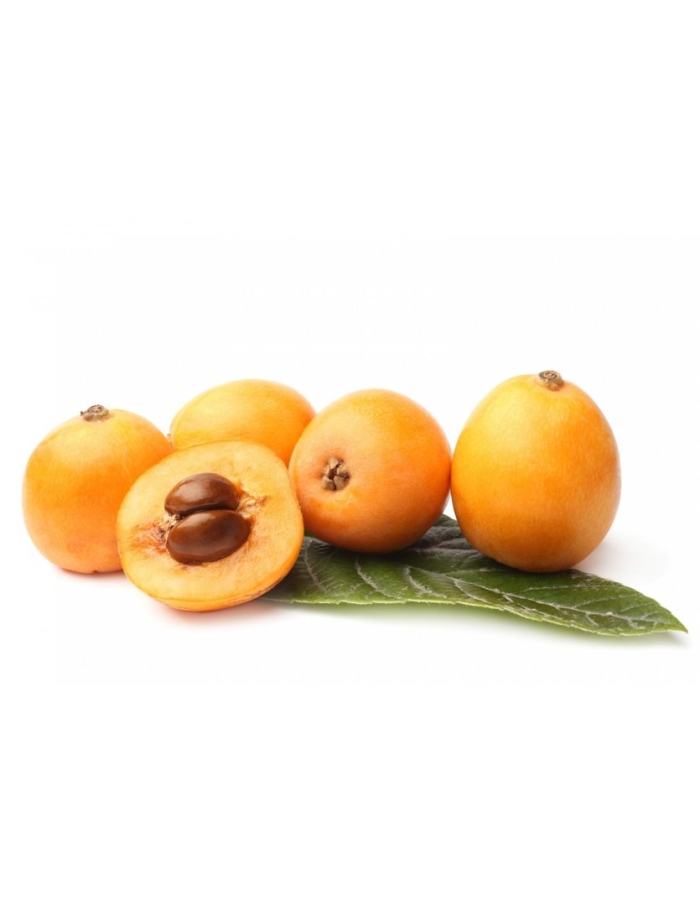 Мушмула германская