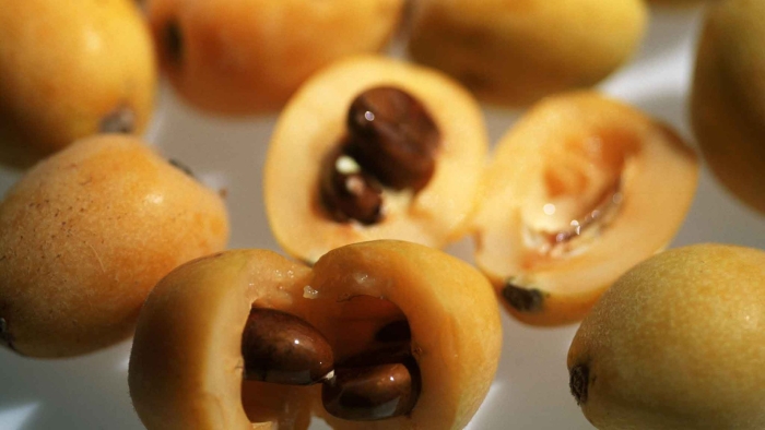 Фрукт оранжевый с косточками мушмула