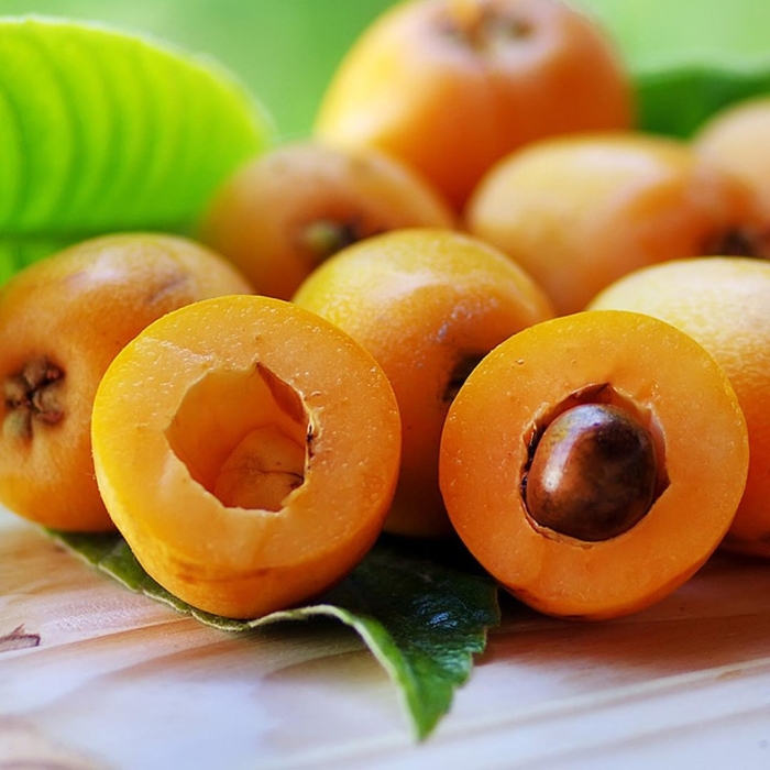 Мушмула фрукт