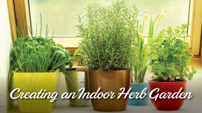 Зелень на подоконнике