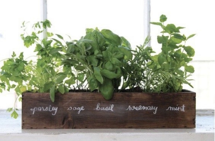 Огородик пряных трав