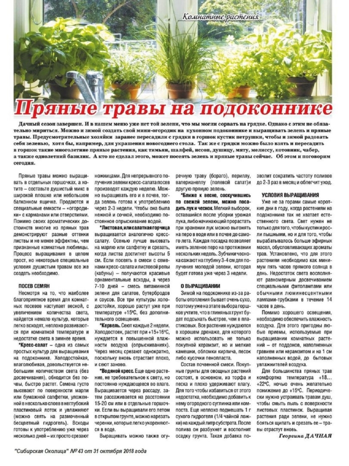 Пряная трава