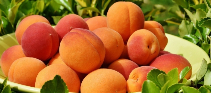 Абрикос и персик