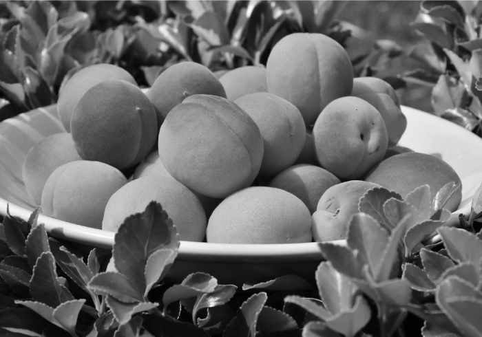 Абрикос фрукт