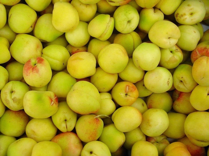 Зеленые нектарины узбекистан