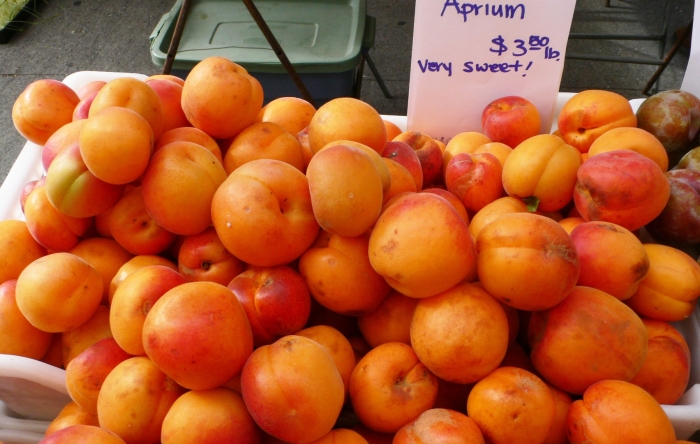 Абрикос нектарин априум