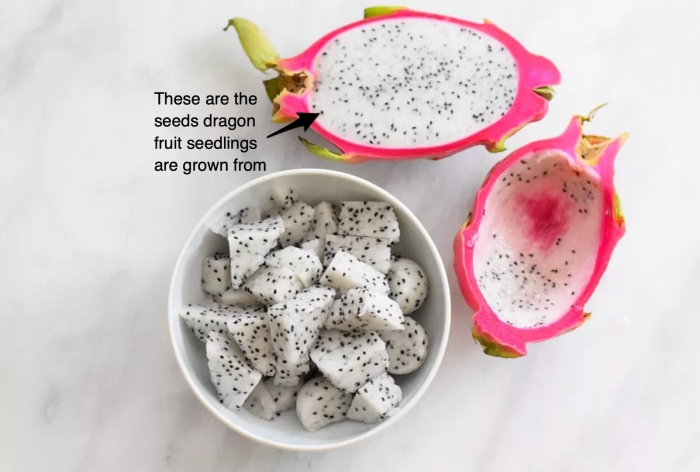Dragon fruit