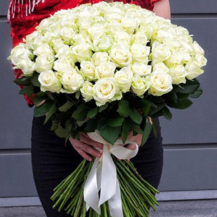 51 белая эквадорская роза 70см