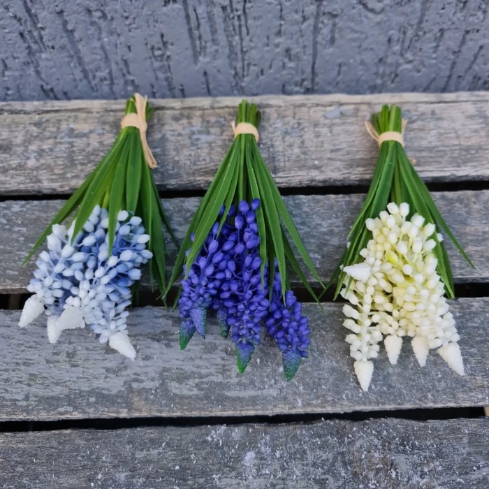 Мускари цветок