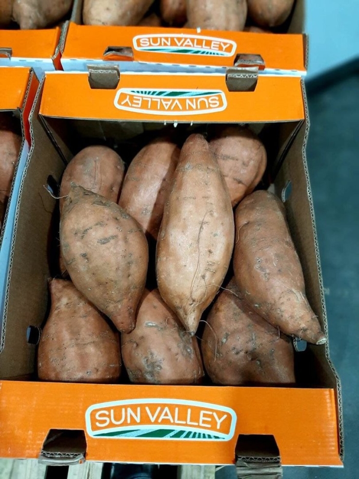 Картофель сладкий батат