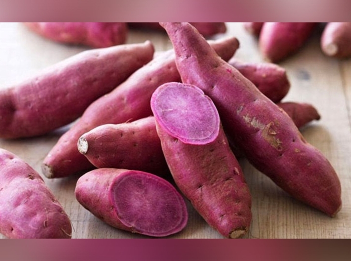 Батат пурпл