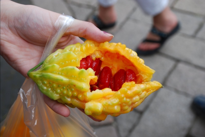 Крымский гранат момордика