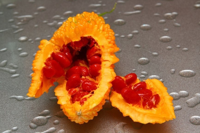 Момордика гранат