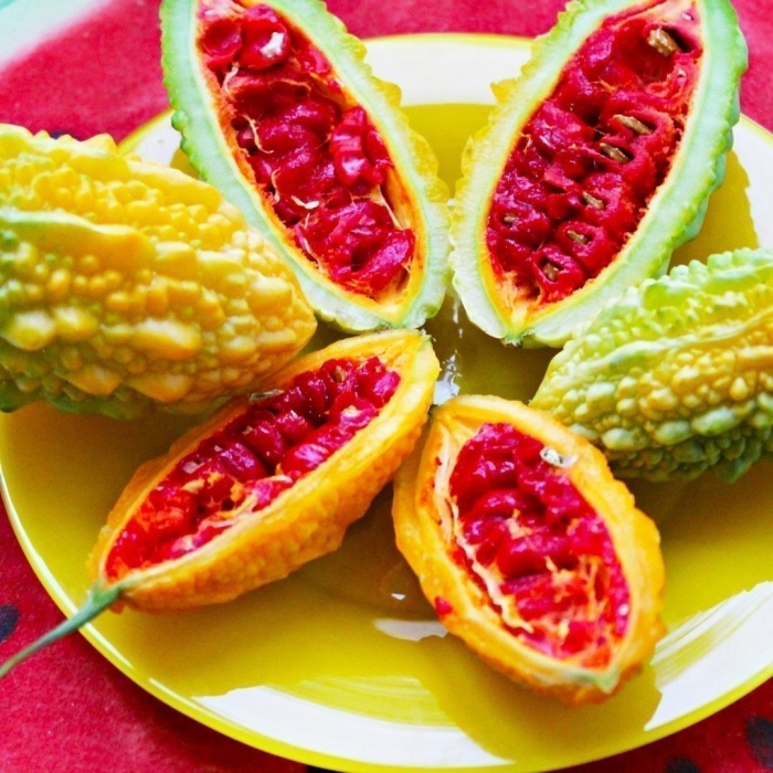 Момордика индийский гранат