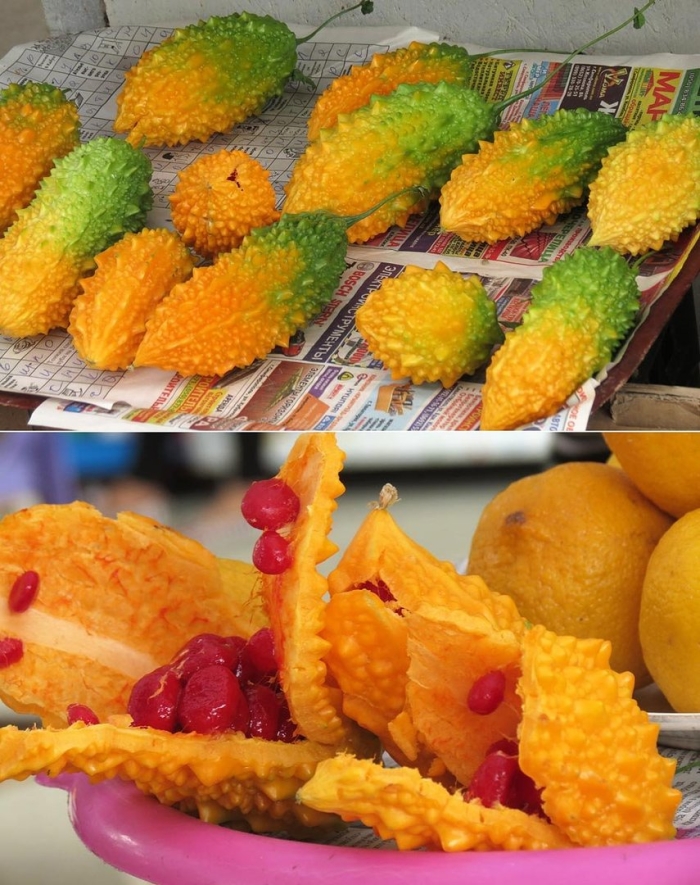 Крымский гранат момордика