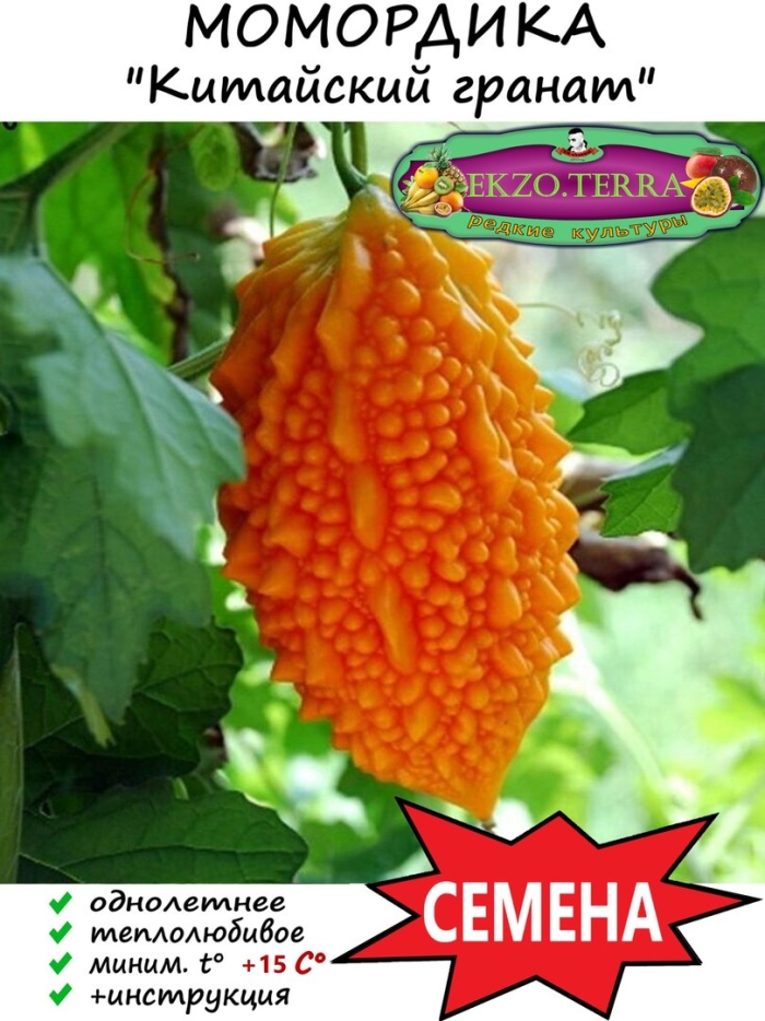Семена момордика
