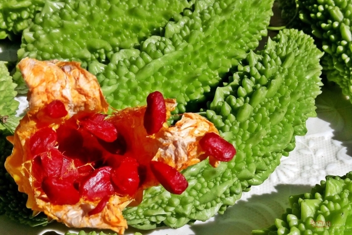 Момордика (китайская горькая дыня)