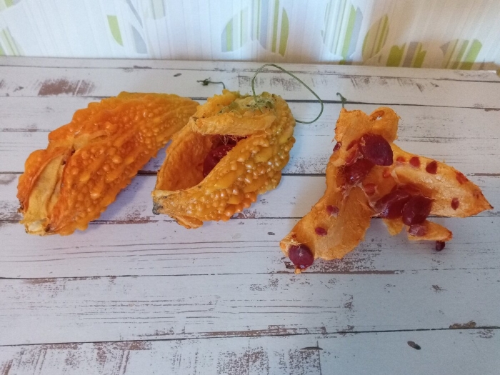 Момордика кохинхинская