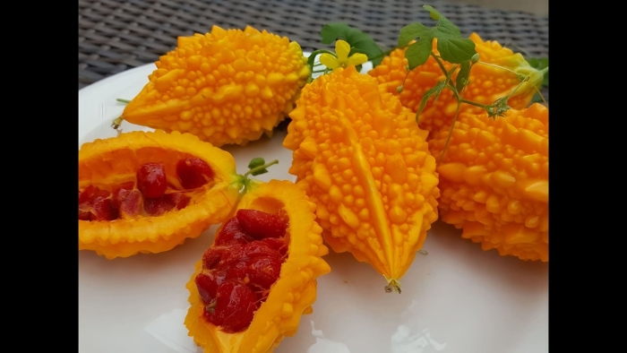 Крымский гранат момордика