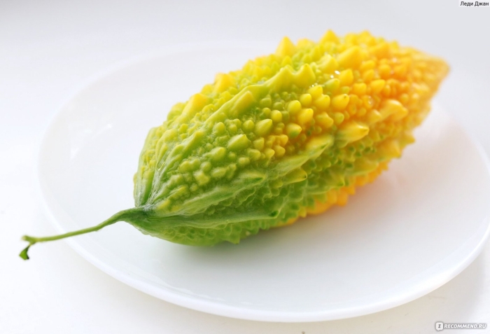 Китайская дыня момордика