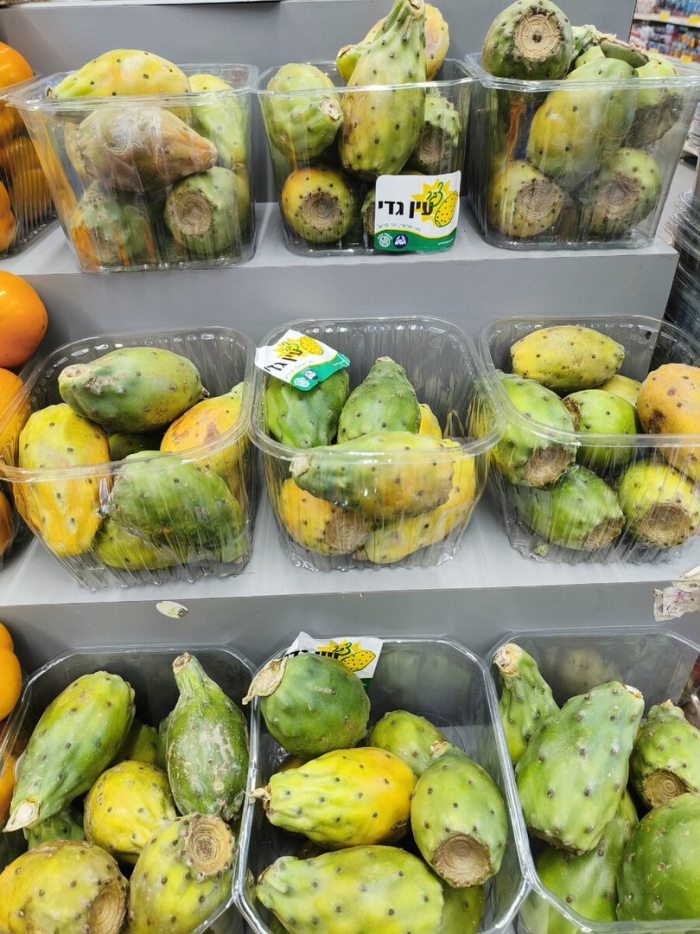 Опунция инжирная