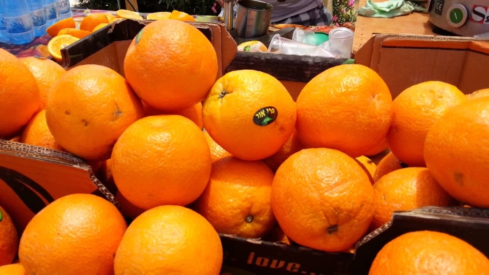 Мандарин orri израиль