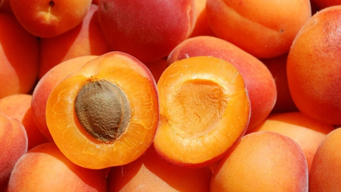 Краснощекий абрикос