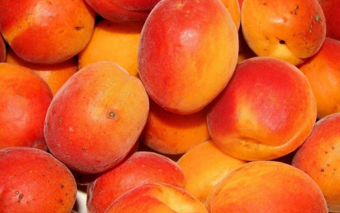 Персик абрикос