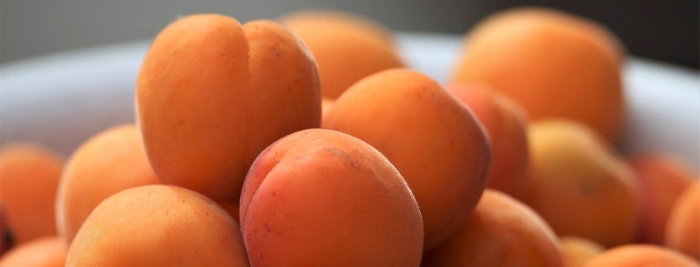 Абрикос дионис