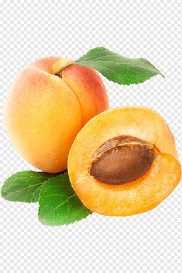 Абрикос плод