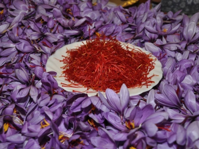 Крокус приправа шафран