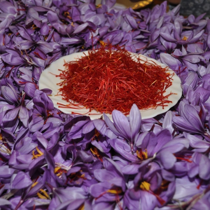 Крокус приправа шафран