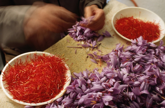 Сбор шафрана