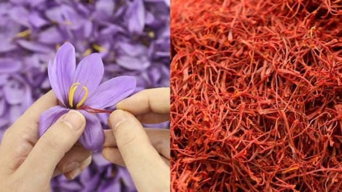 Крокус приправа шафран