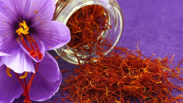 Шафран шарояна цветок