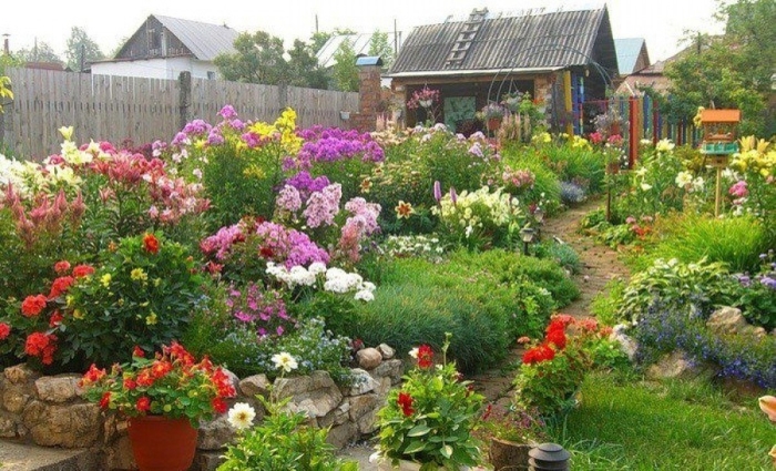 Клумба своими руками на даче с многолетними цветами
