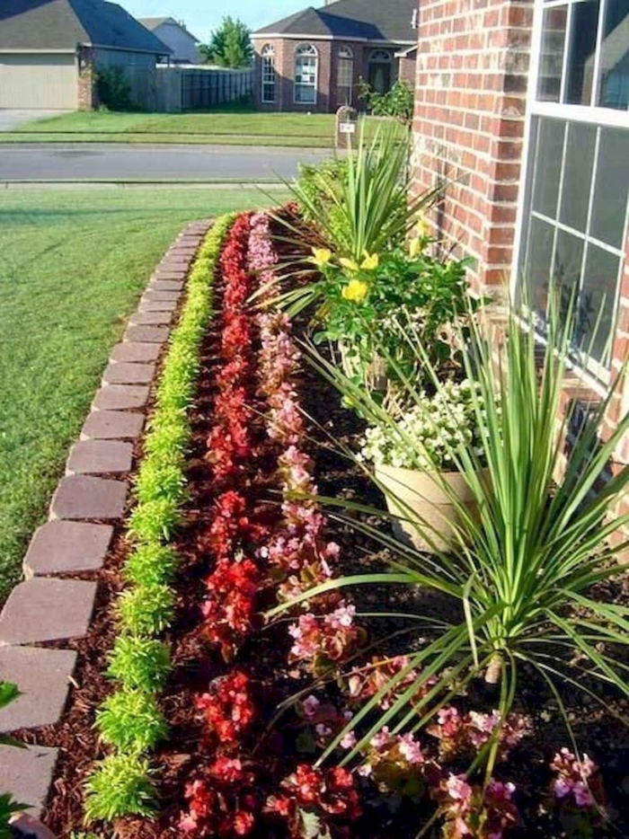 Landscaping ideas