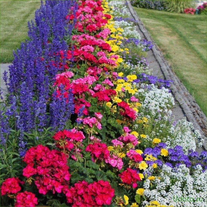 Красивые клумбы из многолетних цветов