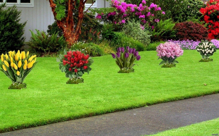 Цветы на участке