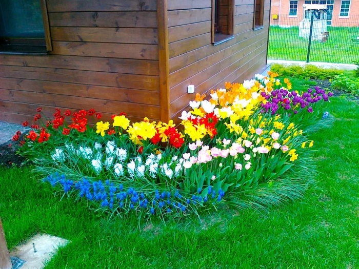 День поливания цветов