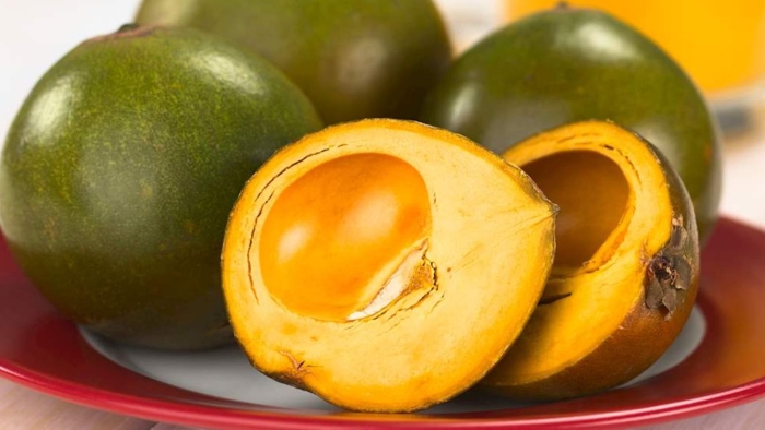 Pouteria lucuma