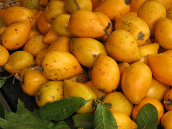 Канистел фрукт