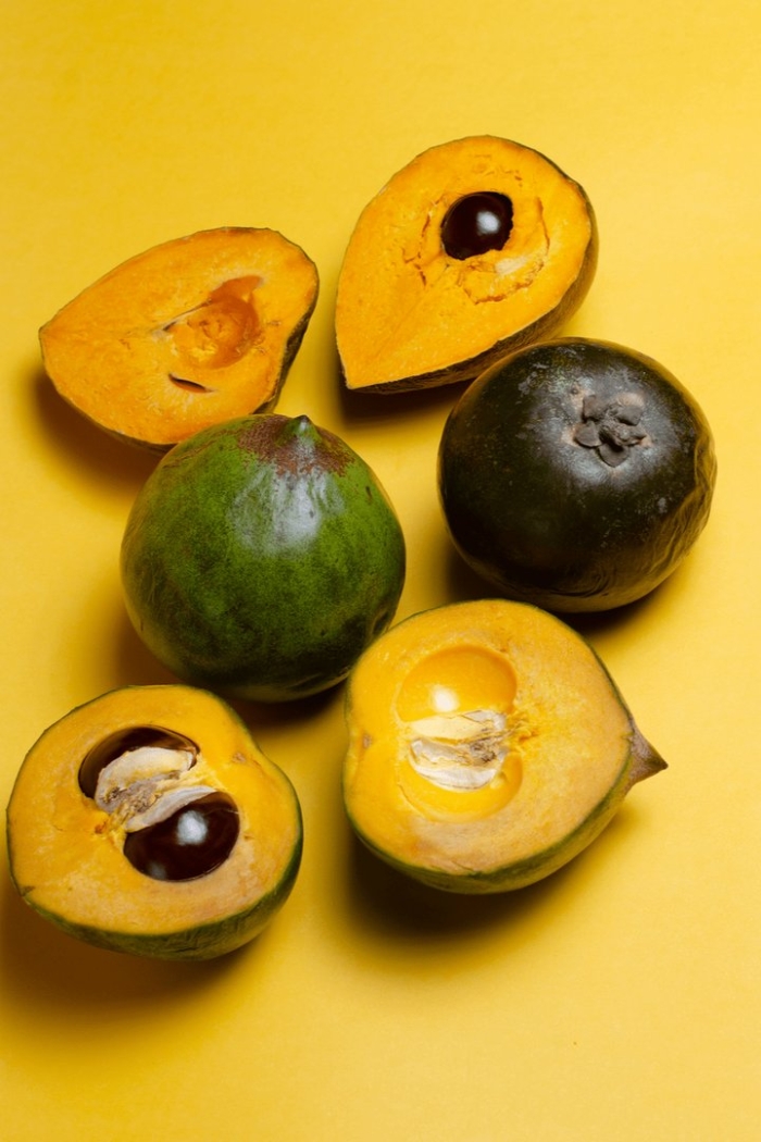 Pouteria lucuma